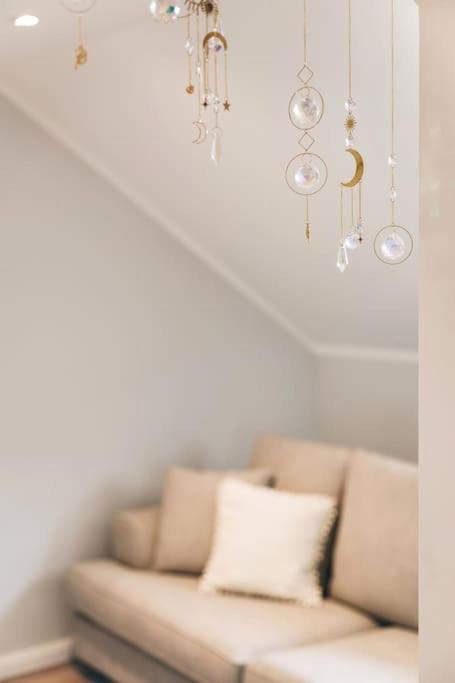 Apartment Tip! Toplage In Dresden! Moderne 100 Qm Fuer Familien Und Kleine Gruppen